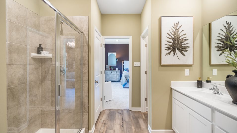Meridian Owners Bathroom