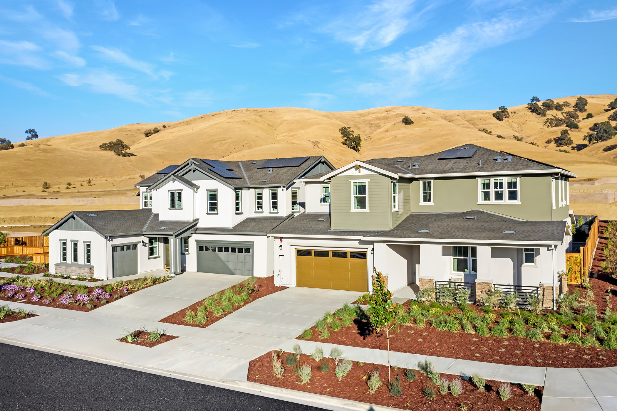 Lilac Ridge Lagoon Valley Streetscape 1of2