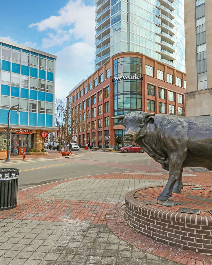 Lochwood - Downtown Durham