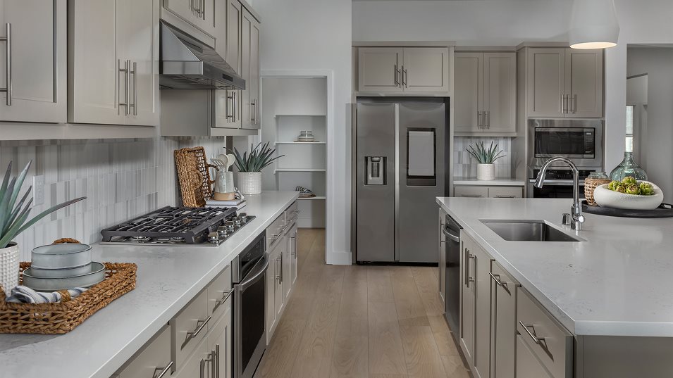 Slateshire Residence 1 Kitchen