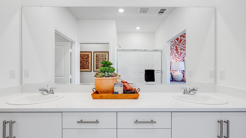 Owners suite bathroom