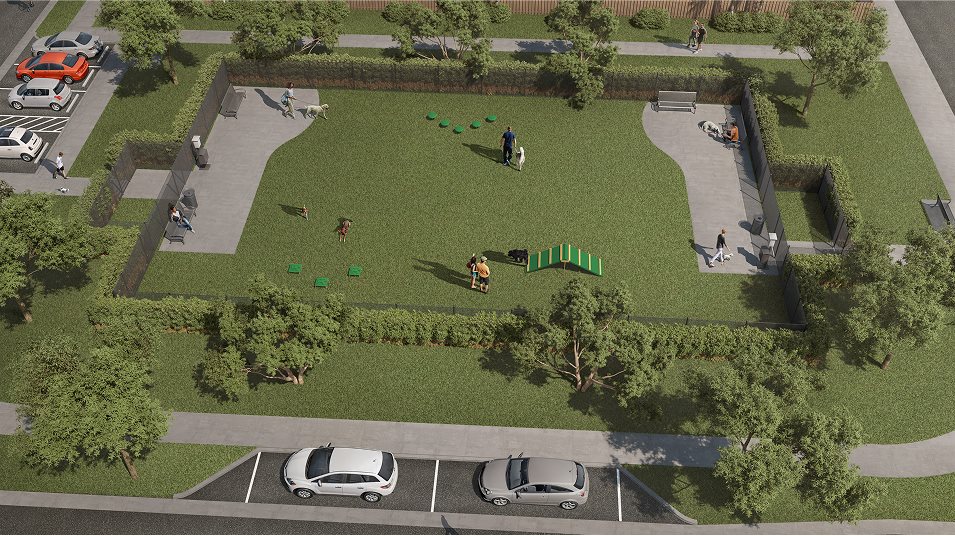 dog park
