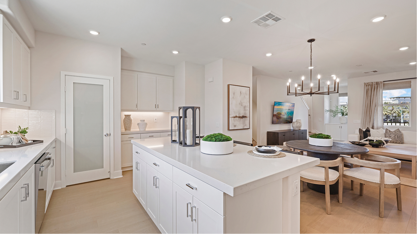 Brio Res2 Kitchen 3of4 F2