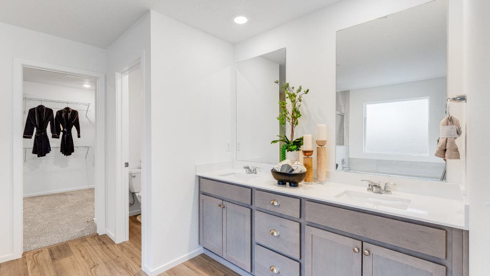 Davenport owners suite bathroom