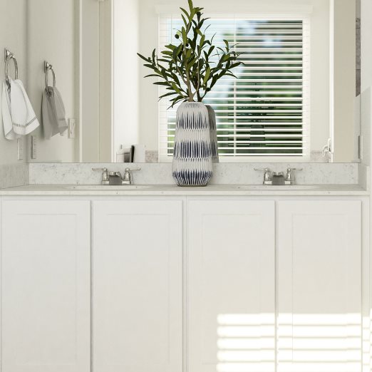 Ames Owners Bath