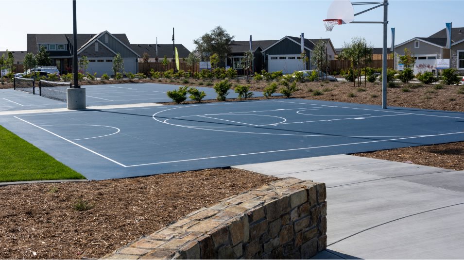 Basketball Court