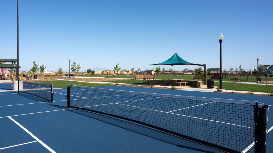 Pickleball Court