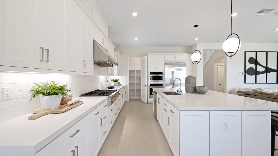Residence 2 Kitchen