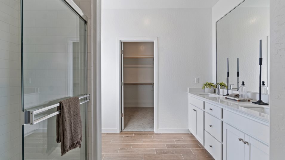 Orchestra owners bath