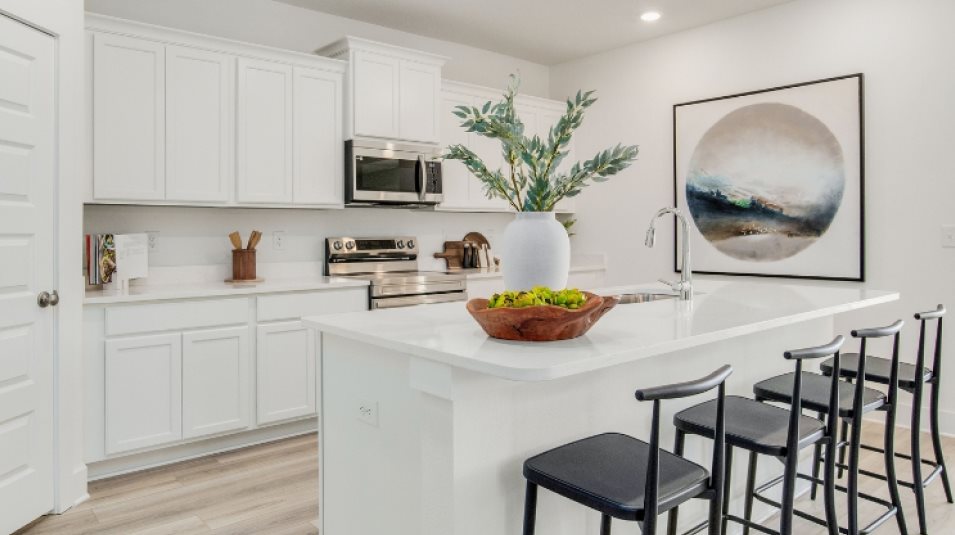 Stainless steel appliances