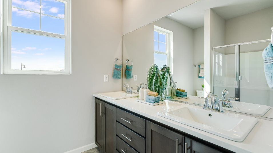 Natalia Triply Owner's Suite Bathroom