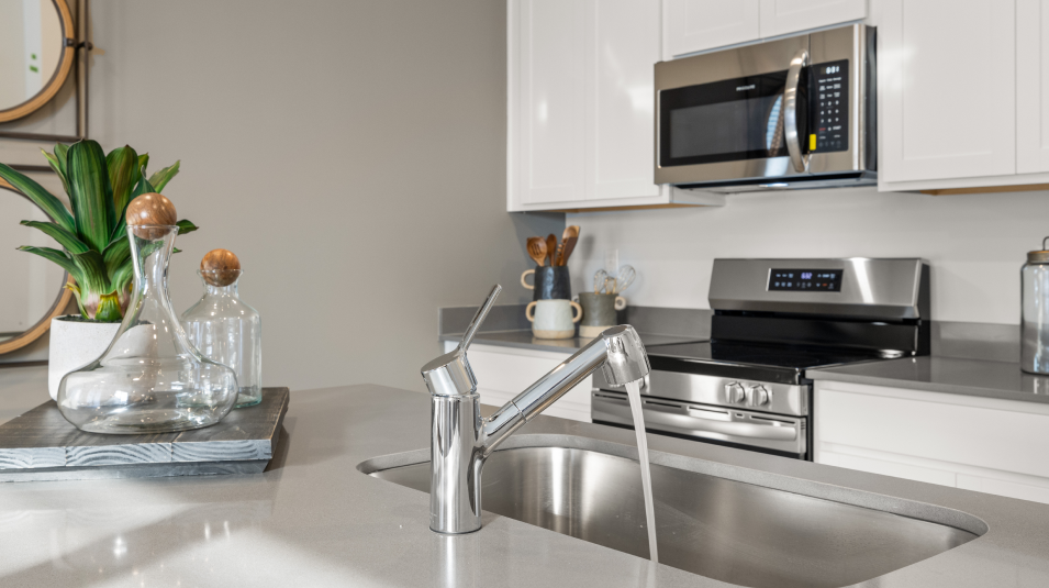 Moen Faucet