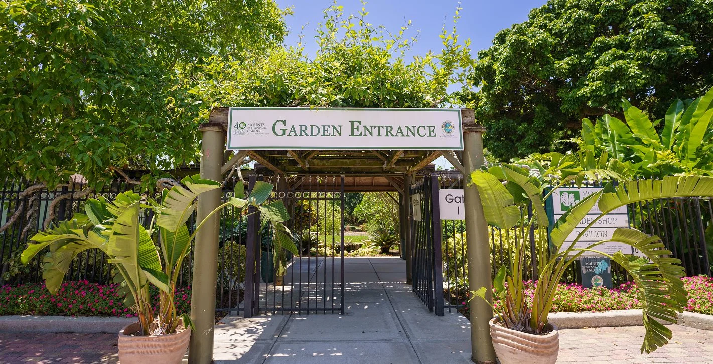 Mounts Botanical Garden