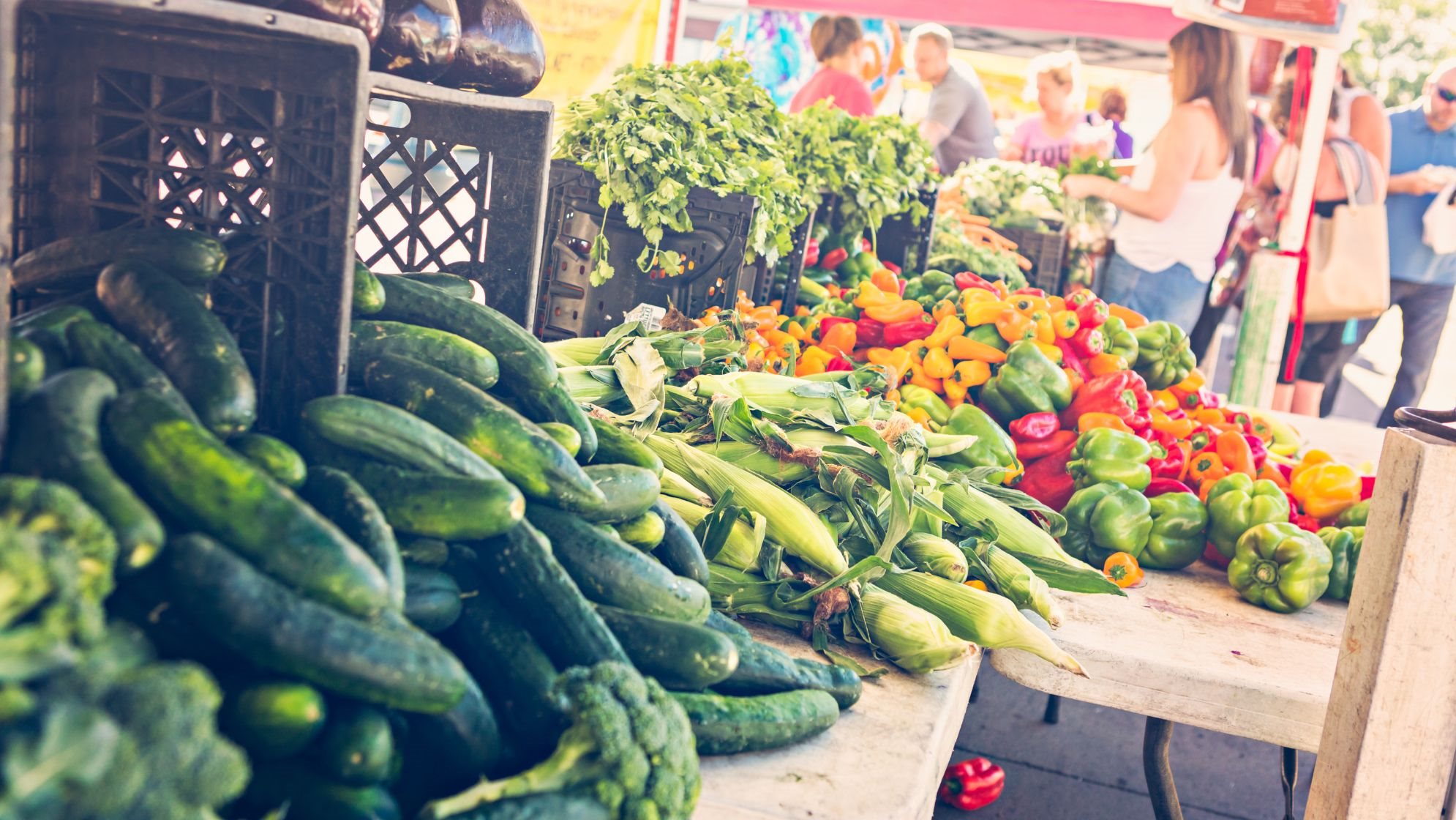 view of farmers market