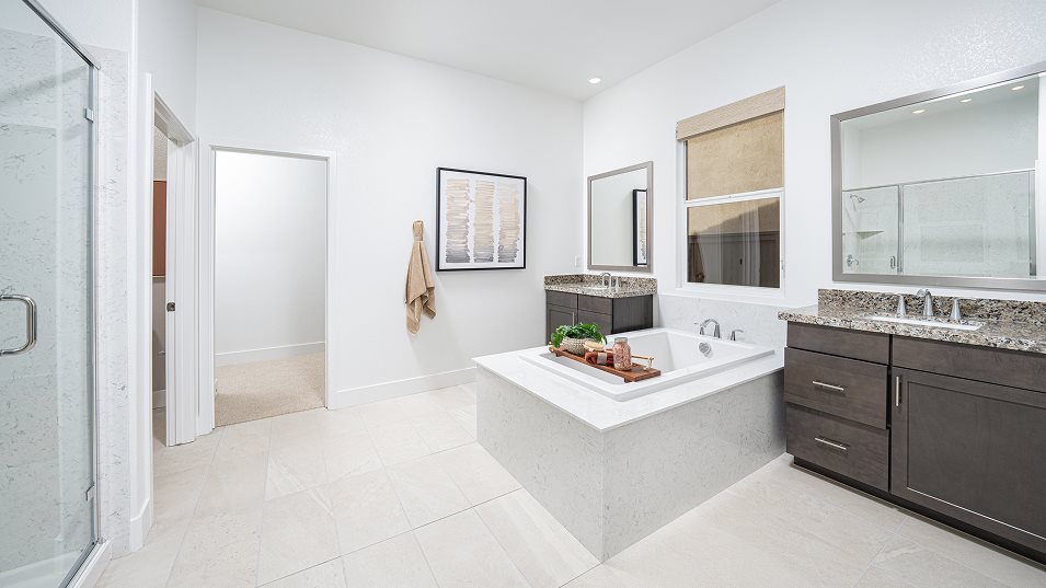 Owners suite bathroom