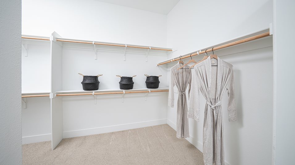 owners suite walk in closet