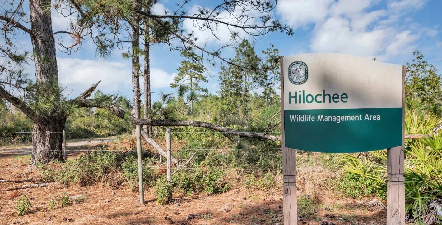 Hilochee Wildlife Management Area