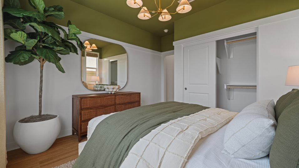 Olive 2X Bedroom 4
