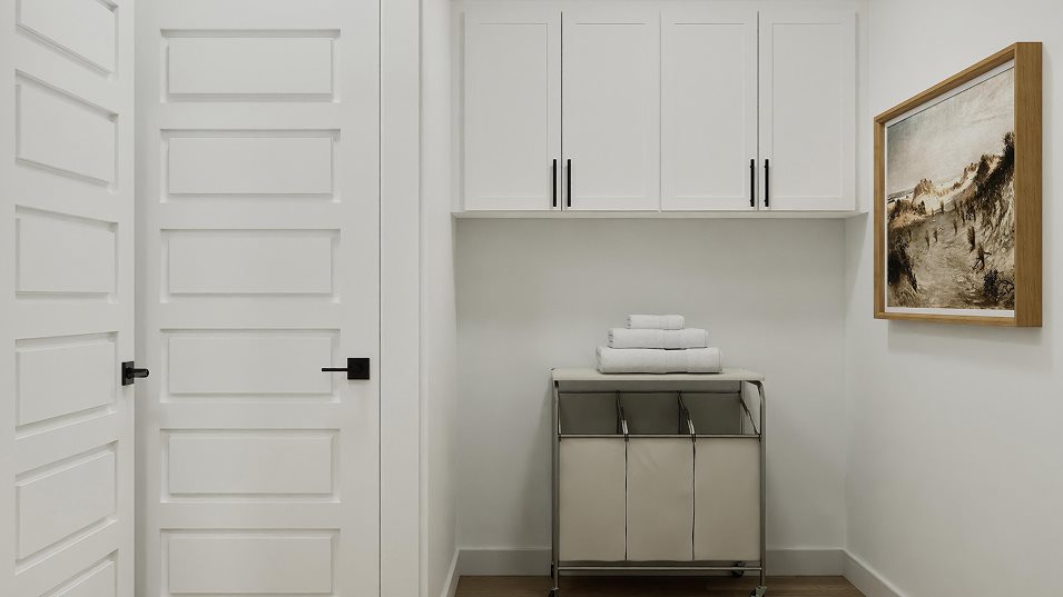 Ridgefield Laundry room