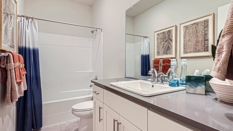Elmhurst Bathroom 2