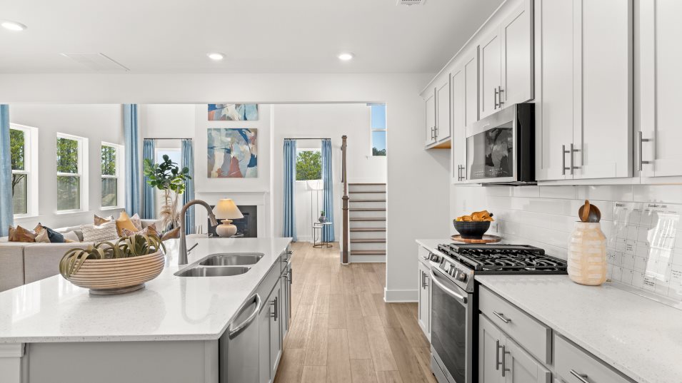 Fairmont Kitchen