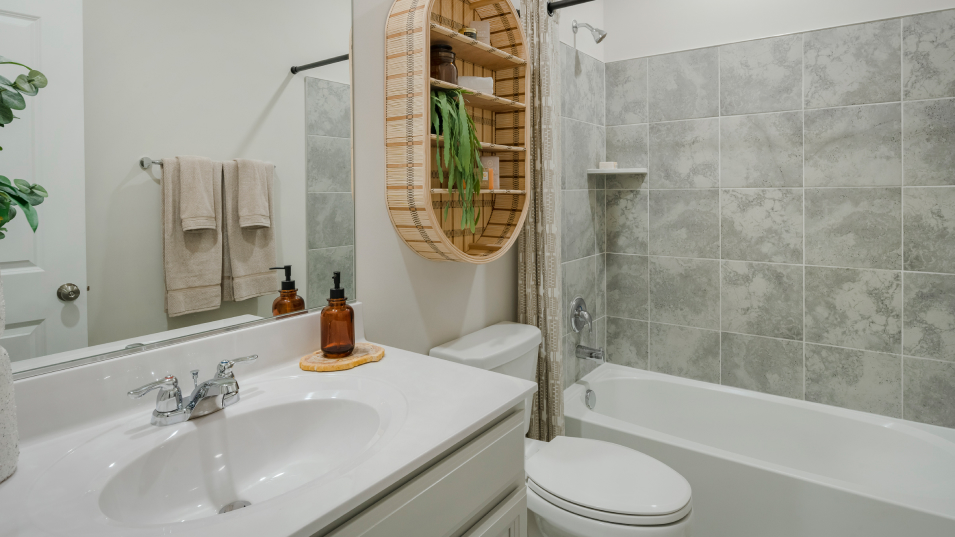 Single Family Norborne Glebe Lexington Bath2 1of2 F2
