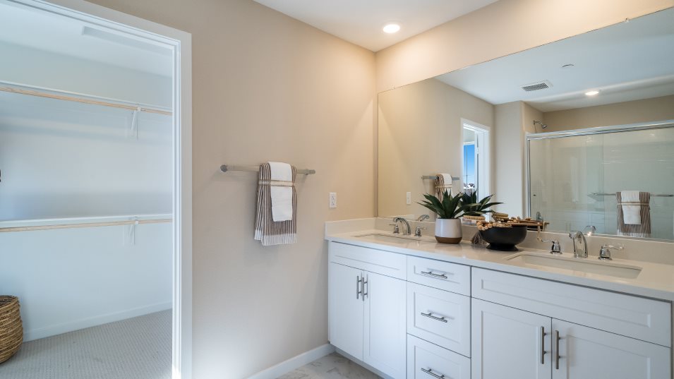 Owners bathroom