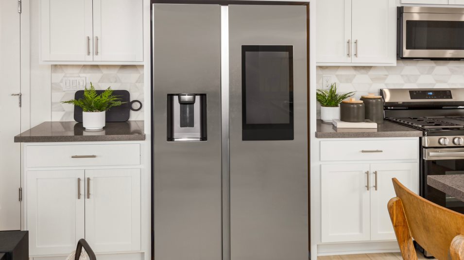 Image focused on the fridge