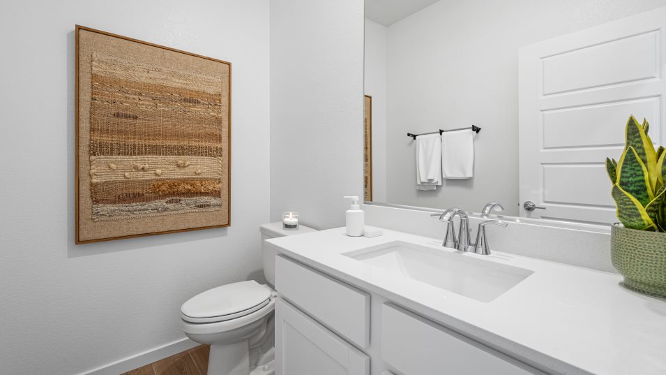 Sage Powder Room