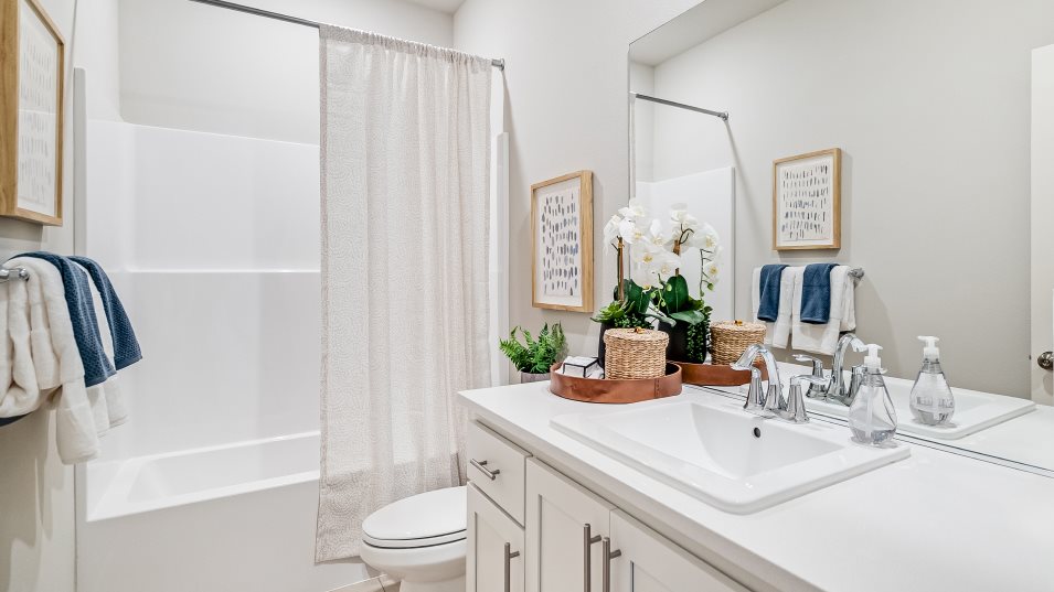 Elmhurst Bathroom 2