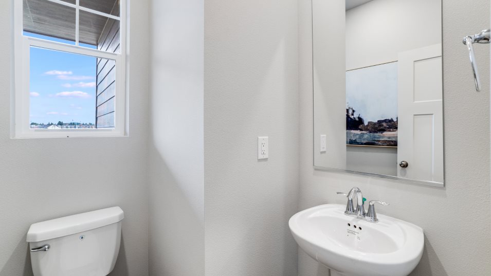 Conifer Powder Room