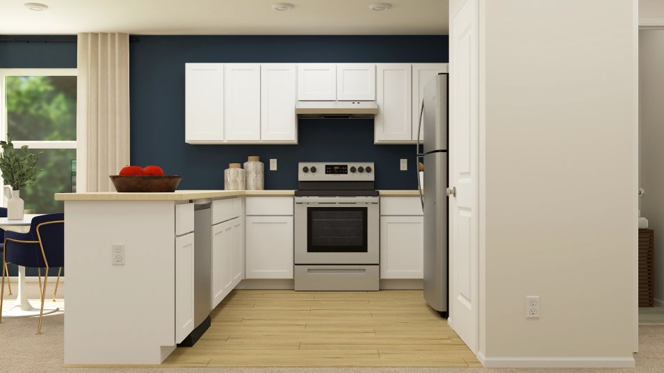 Kitchen appliances and cabinetry