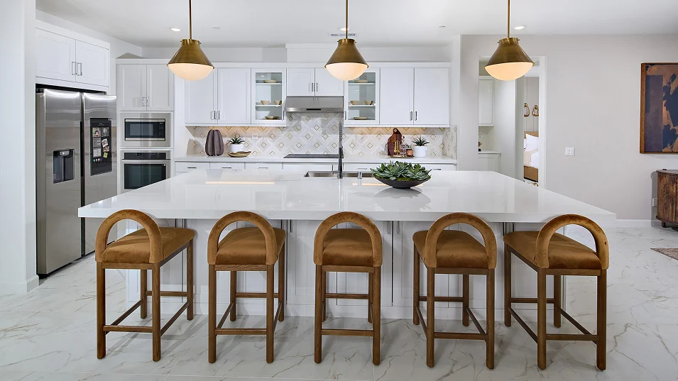 Mahogany North River Farms Res2 Kitchen 2of3 F1