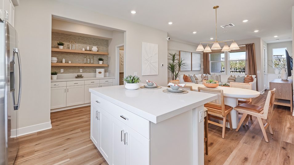Brio Res1 Kitchen 2of2 F2