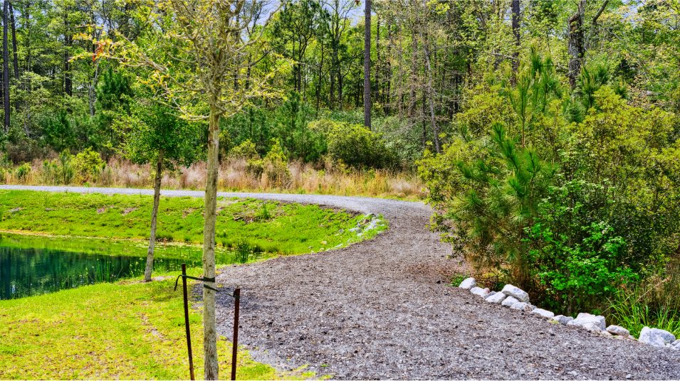 Trail