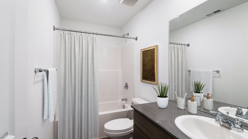 Irving Bathroom 2