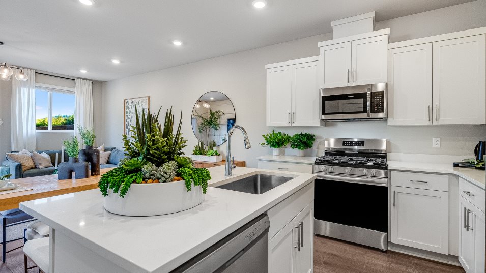 Orion Kitchen
