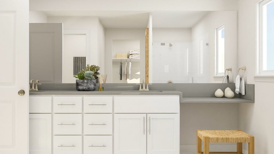 Owner's Bath Vanity