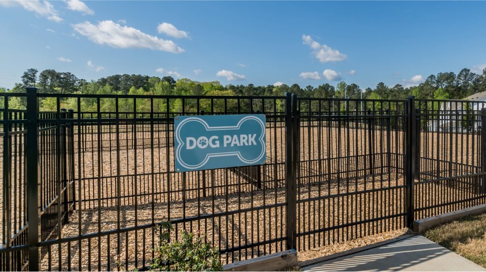 Dog Park