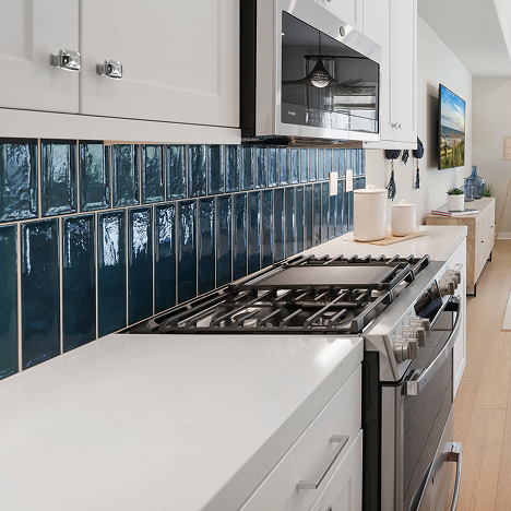 Vista Metro Heights Res2 X Kitchen 8of8 F2