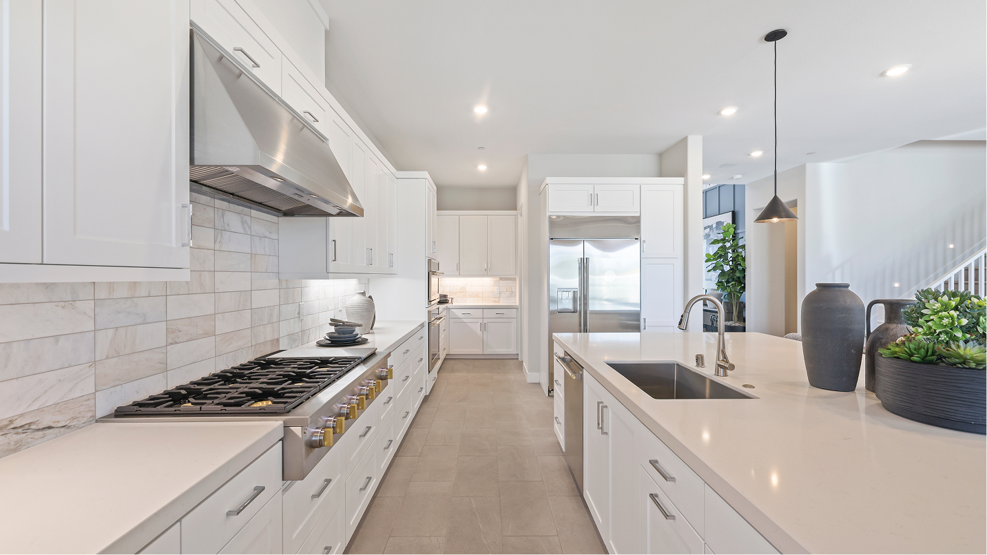 Amora Res2 Kitchen 4of8 F1