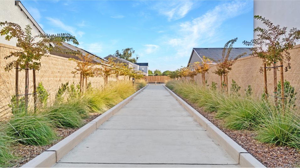 Trail amenity image surrounded by greenery