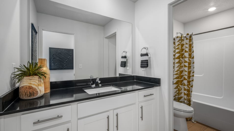Sequoia Bathroom 2