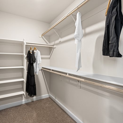 Alma Owner's Suite Walk-In Closet