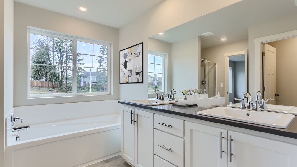 Blairmont Owner's Suite Bathroom
