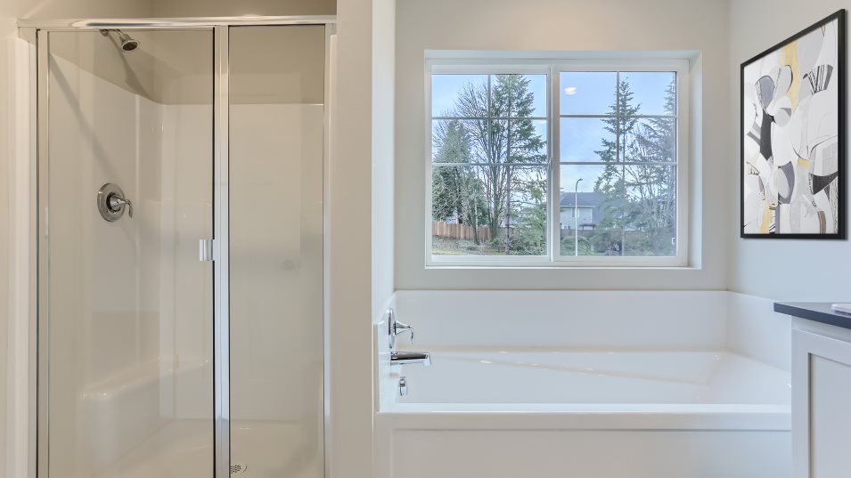Blairmont Owner's Suite Bathroom