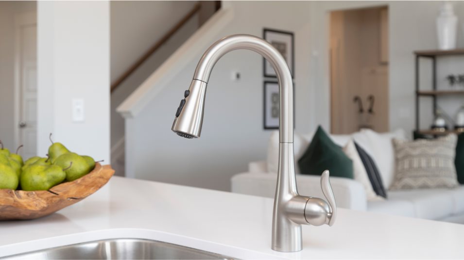 Carellton Ammenity Moen Faucet With Pull Down Spray