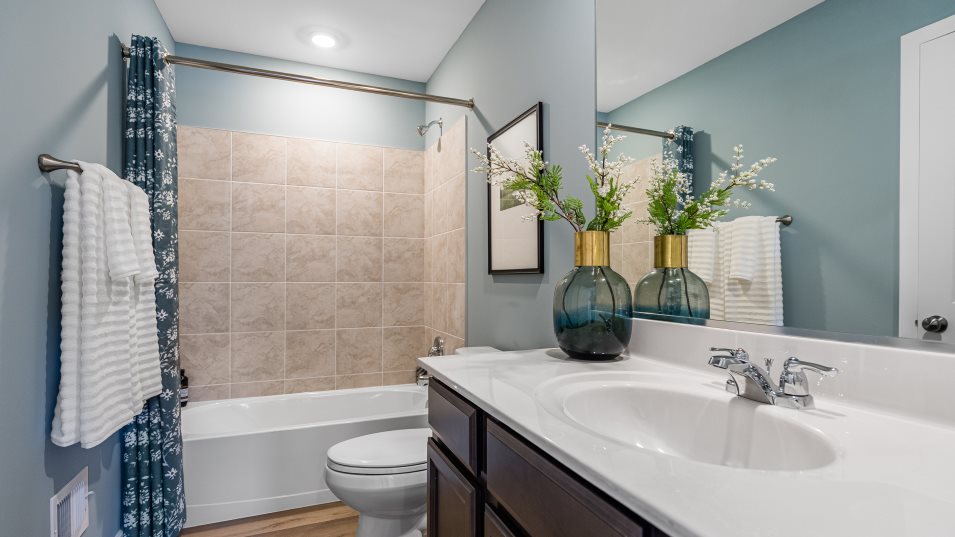 Ellington Bathroom 2