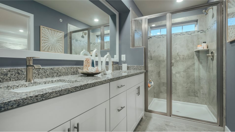 ArcadiaFL Owners Bathroom