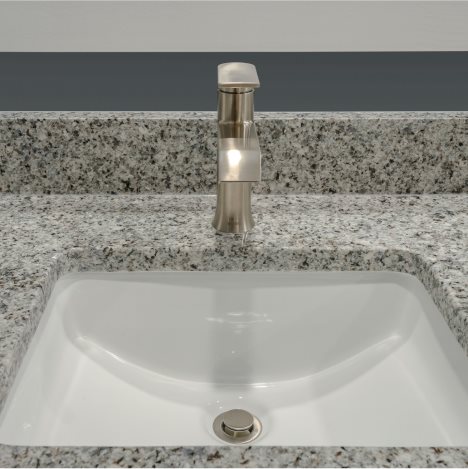 ArcadiaFL Owners Bathroom